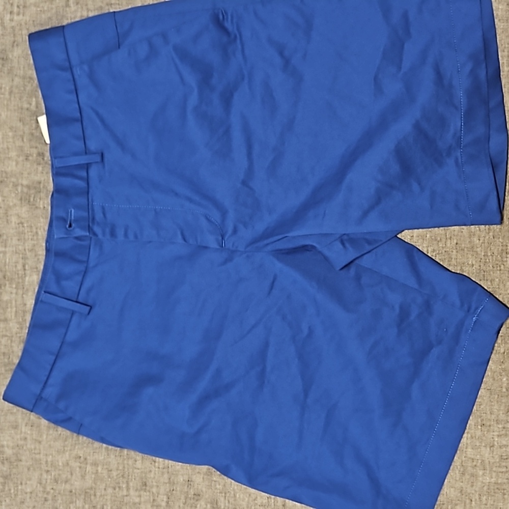 Banana Republic Aiden Fit flat front shorts
